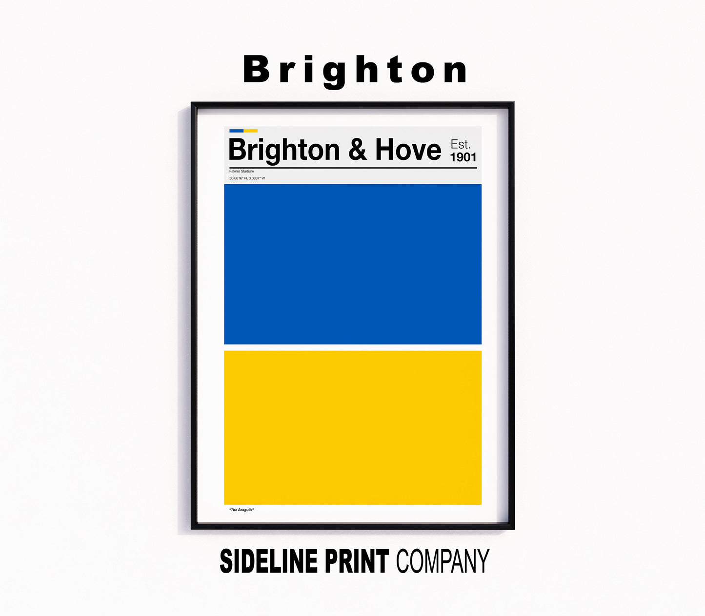 Brighton & Hove Albion Football - Team Colours - Art Print - Football Gift