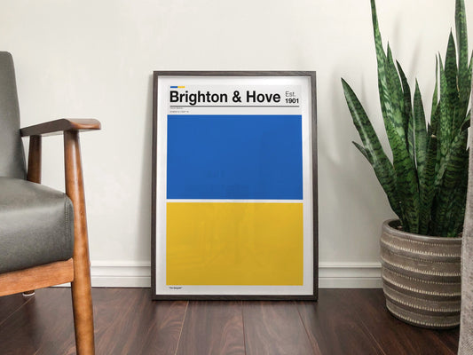 Brighton & Hove Albion Football - Team Colours - Art Print - Football Gift